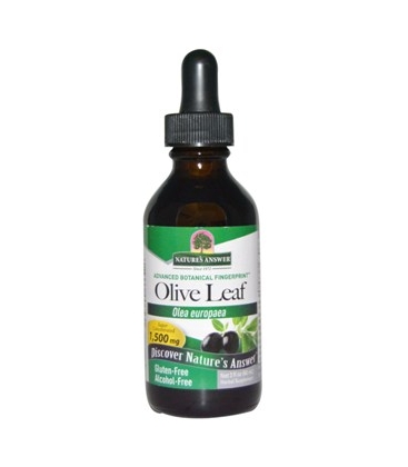 OleoPein Olive Leaf - 60ml