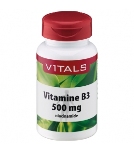Βιταμίνη Β3 100 κάψουλες 