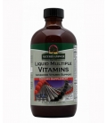 Liquid Multiple Vitamins 240ml 