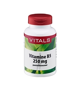 Vitamin B5 250mg 100 κάψουλες