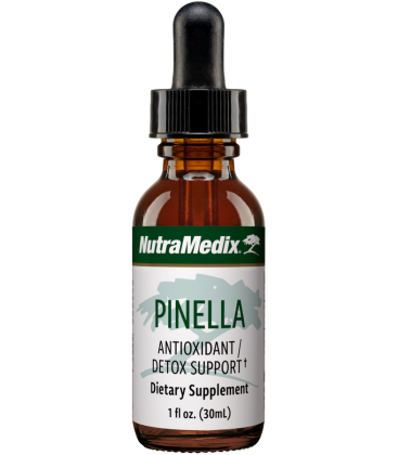 Pinella - Brain/Nerve Cleanse 30ml