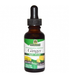 Ginger Root extract 30ml