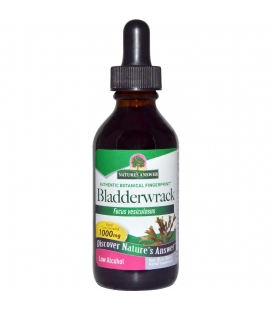 Bladderwrack Herb - 30ml