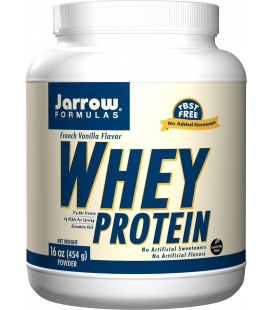 Whey Protein 454g