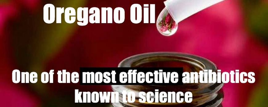 Λάδι Ρίγανης: Μια Εναλλακτική λύση στην αντιβίωση