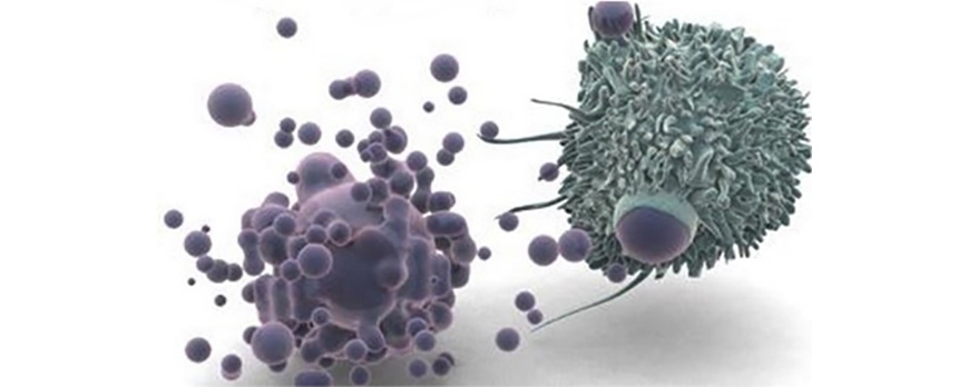 Οι σαλβεστρόλες και η συμβολή τους στην καταπολέμηση του καρκίνου