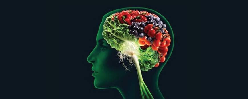 Η επιρροή του εγκεφάλου στις διατροφικές μας συνήθειες