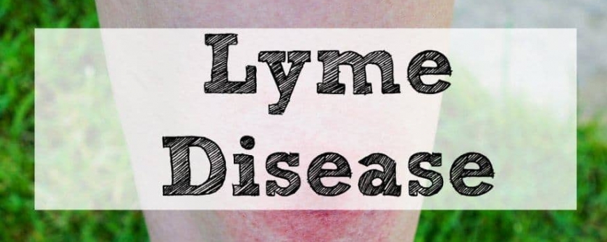 Νόσος του Lyme-Μπορρελίωση